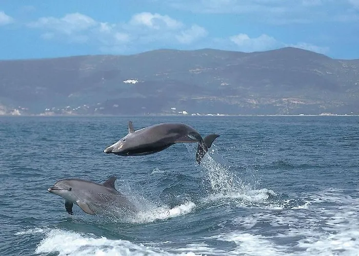 Preia-mar Duplex Miradouro * Σετούμπαλ